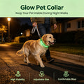COMMIXCN LED Light Up Dog Collar, Waterproof 3 Modes(2 Pack)