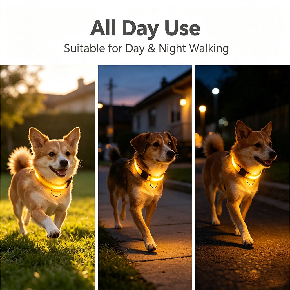 COMMIXCN LED Light Up Dog Collar, Waterproof 3 Modes(2 Pack)