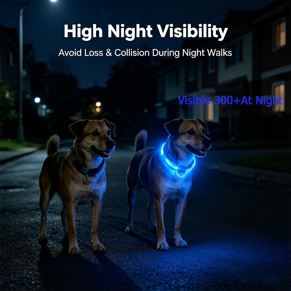 COMMIXCN LED Light Up Dog Collar, Waterproof 3 Modes(2 Pack)