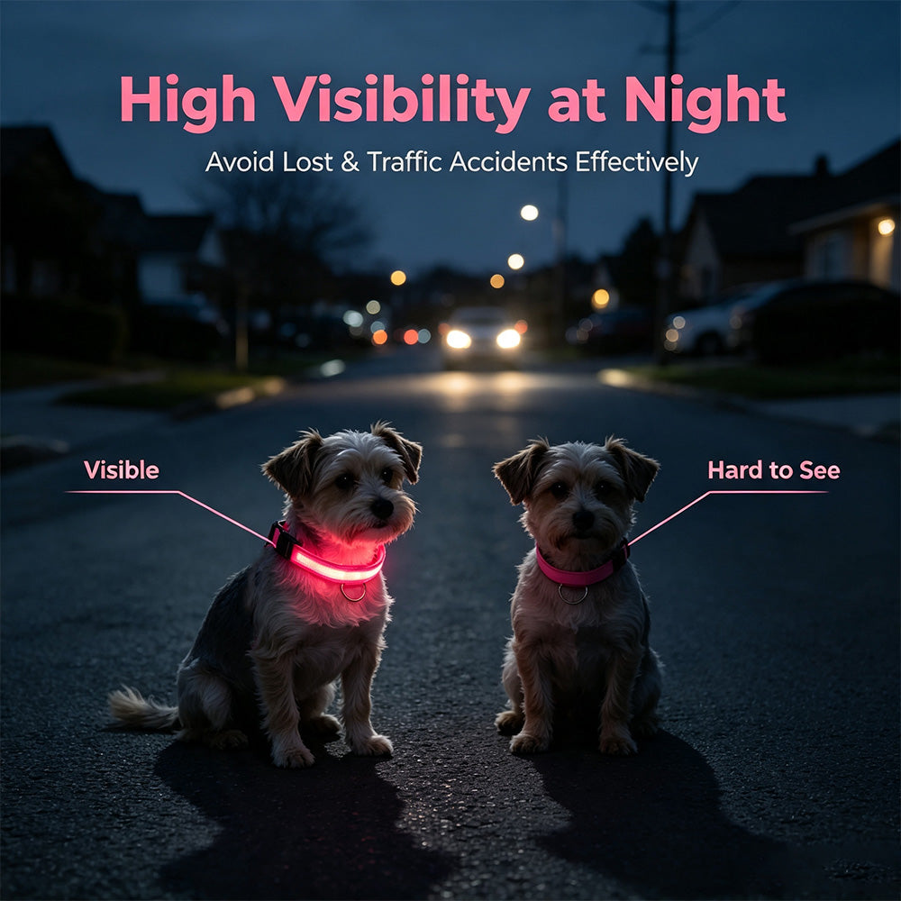 COMMIXCN LED Light Up Dog Collar, Waterproof 3 Modes(2 Pack)