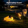 COMMIXCN LED Light Up Dog Collar, Waterproof 3 Modes(2 Pack)